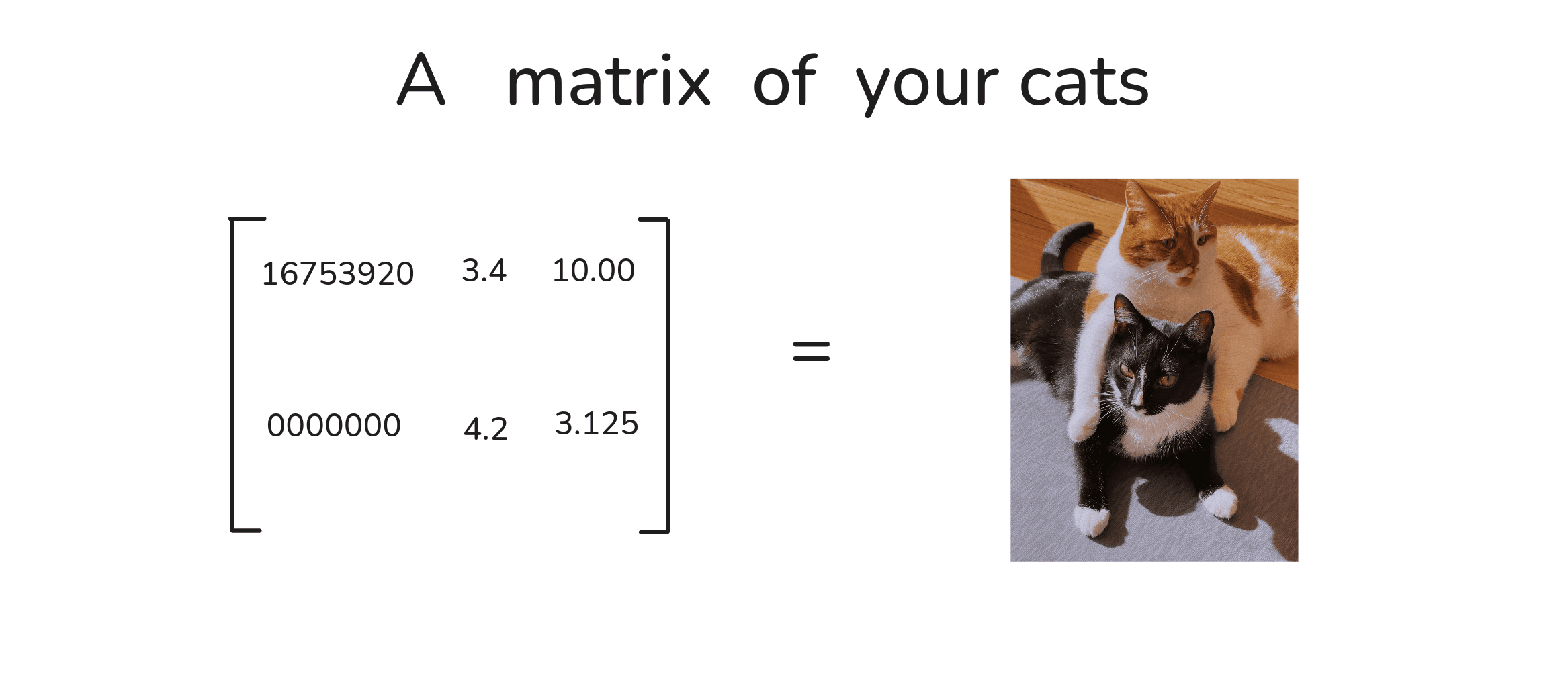 A photograph of two cats lying on a wooden floor, framed as the same matrix of numbers reinterpreted as a picture of cats.